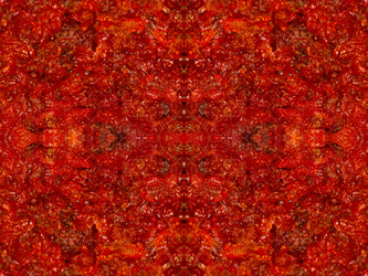 Similar image 22619420