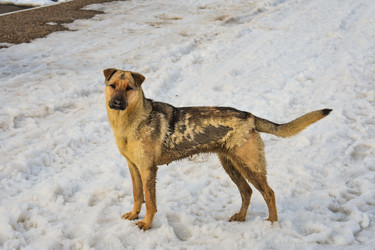 Similar image 22618280