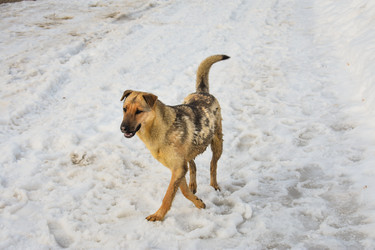 Similar image 22618295