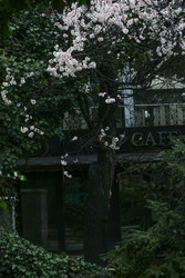 Similar image 22639505