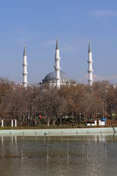 Similar image 22639563