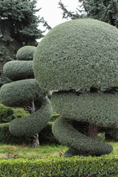 Similar image 22621915