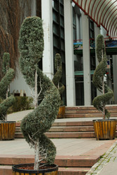 Similar image 22621929