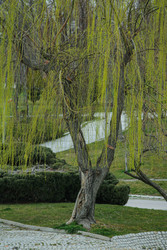 Similar image 22621930