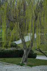 Similar image 22621901