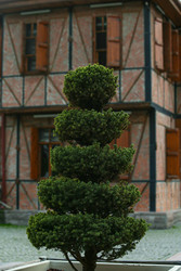 Similar image 22639508