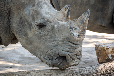 Similar image 22619146