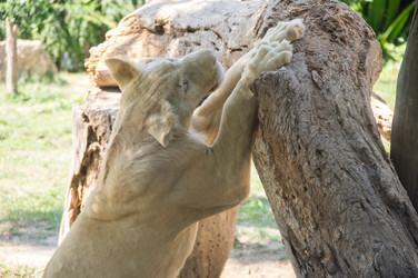 Similar image 22619147