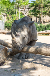 Similar image 22619148