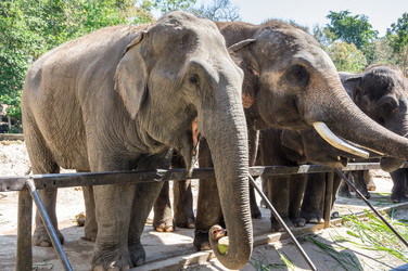 Similar image 22619149