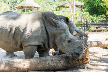 Similar image 22619152