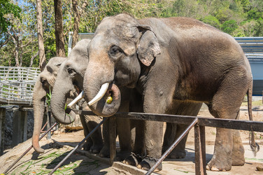 Similar image 22619154