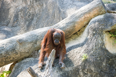 Similar image 22619157