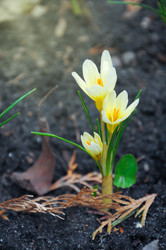 Similar image 22618197