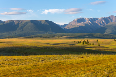 Similar image 22619172