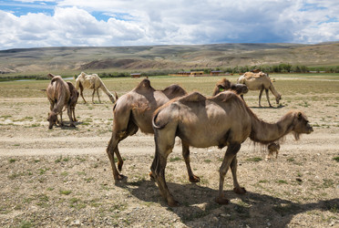 Similar image 22619173