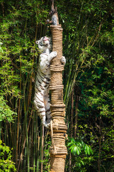 Similar image 22619179