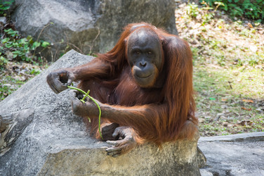 Similar image 22619432