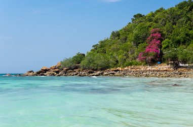 Similar image 22619439