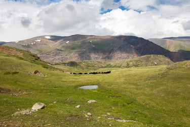 Similar image 22619460