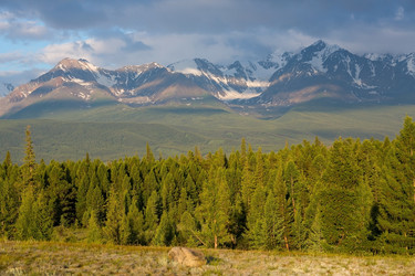 Similar image 22619462