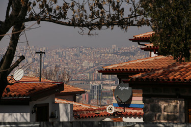 Similar image 22636521