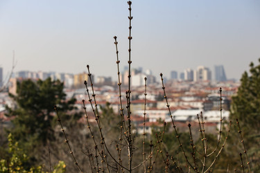 Similar image 22632176