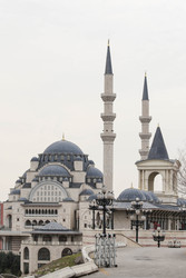 Similar image 22636528