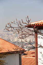 Similar image 22636532