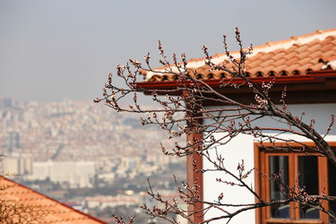 Similar image 22636533