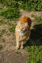 Similar image 22639588