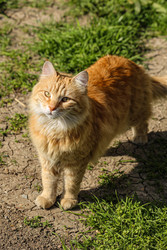 Similar image 22639590