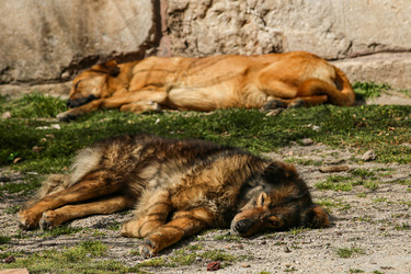 Similar image 22639595