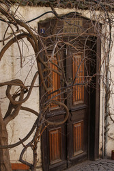 Similar image 22639596