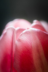 Similar image 22618202