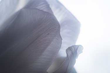 Similar image 22621029