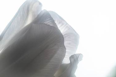 Similar image 22621030