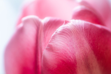 Similar image 22618204