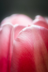 Similar image 22618205