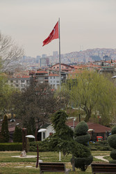 Similar image 22621902