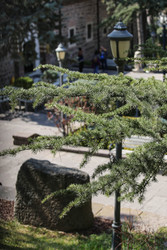 Similar image 22621921