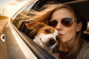 Similar image 22621158