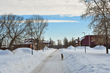 Similar image 22627891