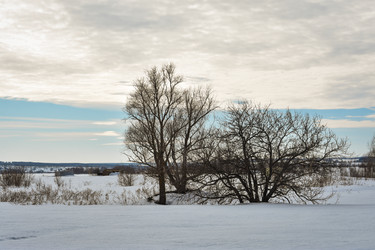 Similar image 22621067