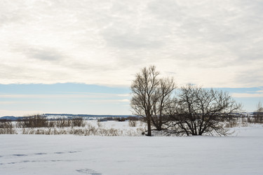 Similar image 22627892