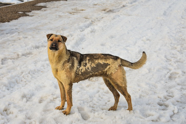 Similar image 22621070