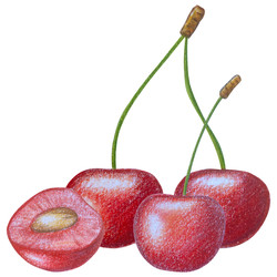 Similar image 22621471