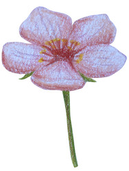 Similar image 22621472