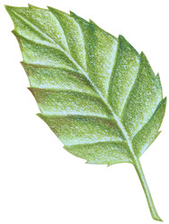 Similar image 22621473