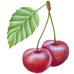 Similar image 22621476